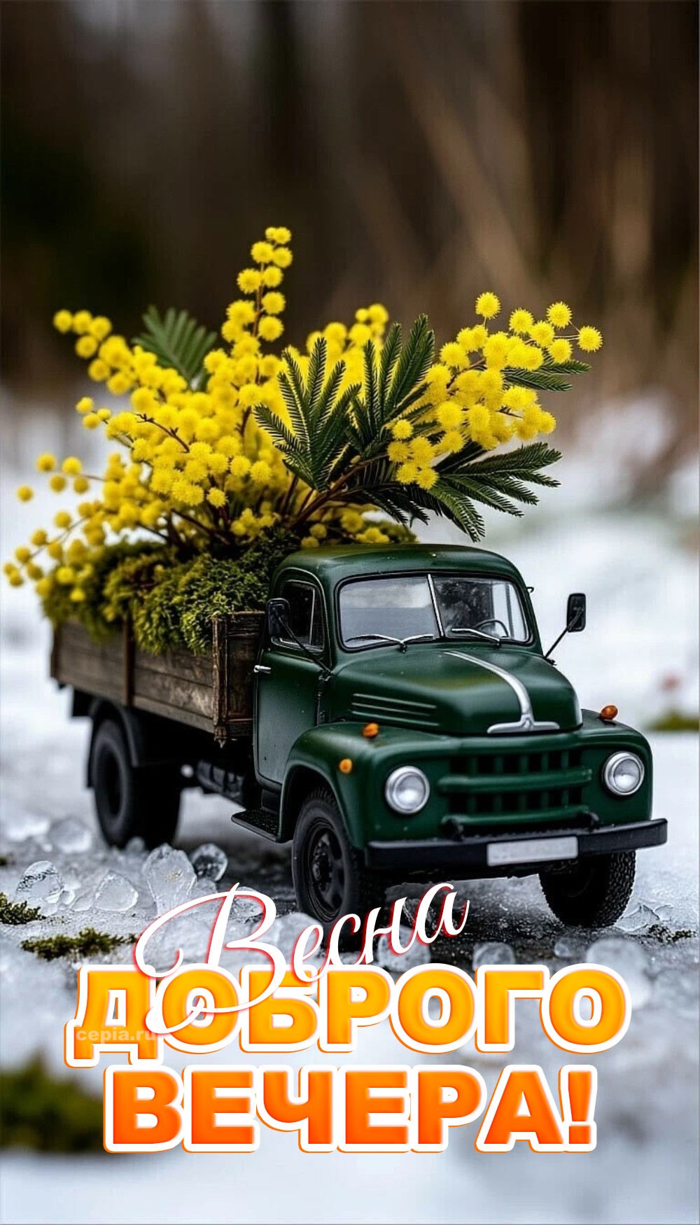 😊 Пусть цветы весны шепчут тебе о любви, а звёзды рассказывают сказки под мягким светом луны