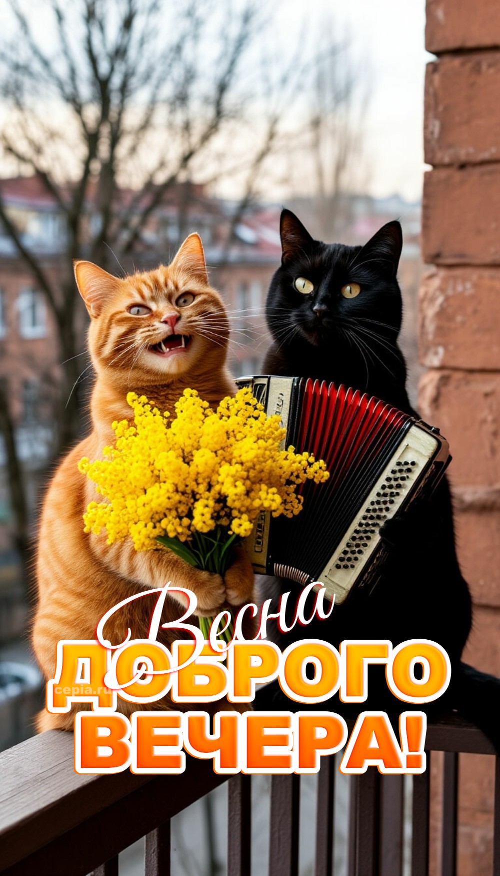 😀 Желаю, чтобы весенний вечер наполнил тебя спокойствием и радостью, а звёзды на небе помогли найти ответы на все вопросы