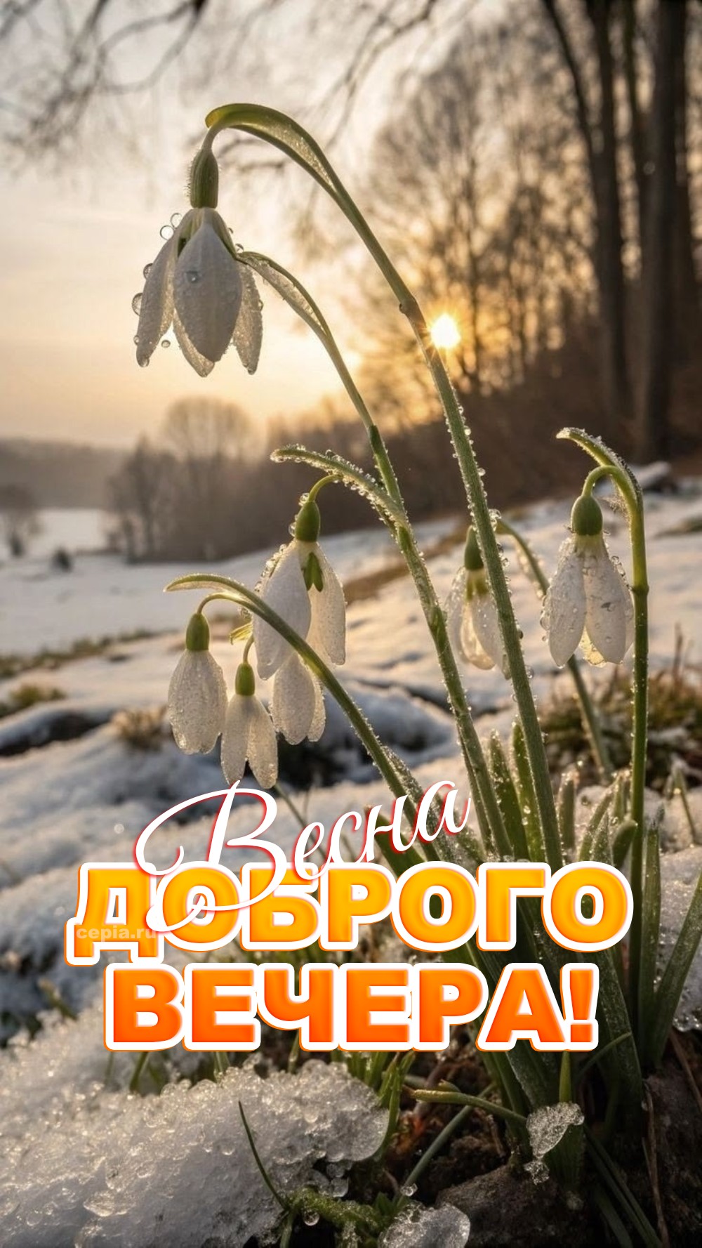 😍 Пусть звёзды весеннего неба светят для тебя особенно ярко, освещая путь к мечтам и новым начинаниям