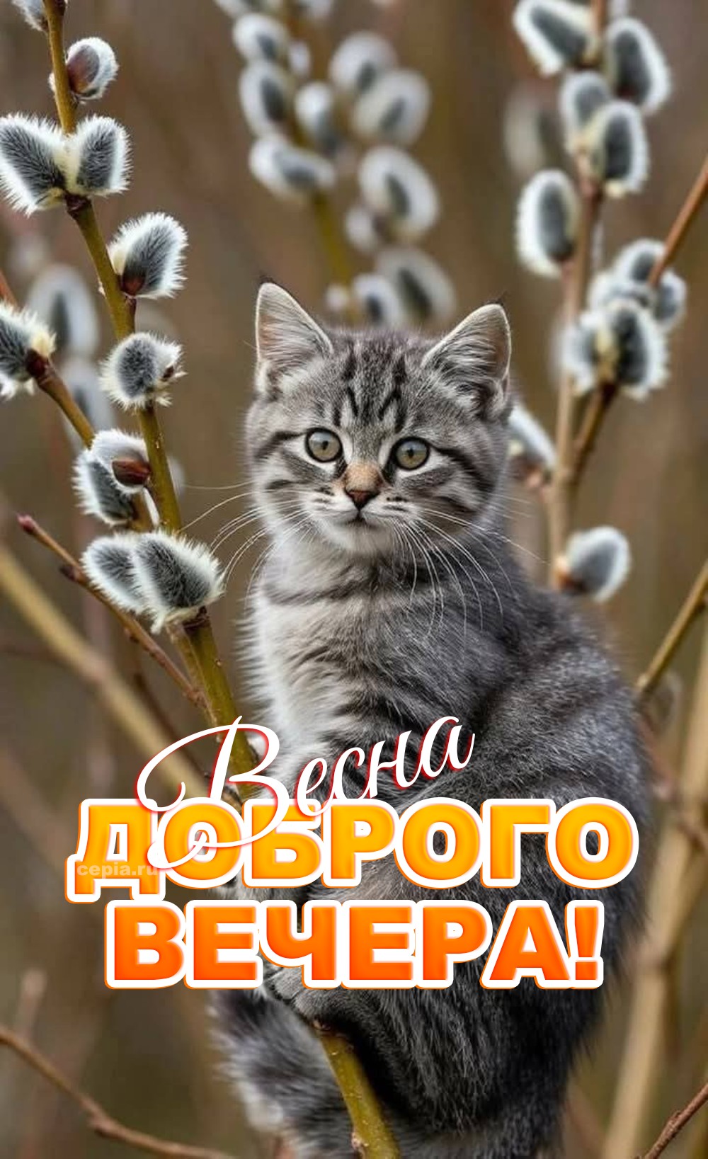 😊 Желаю, чтобы звёзды весеннего неба освещали твой путь и оберегали твои сны