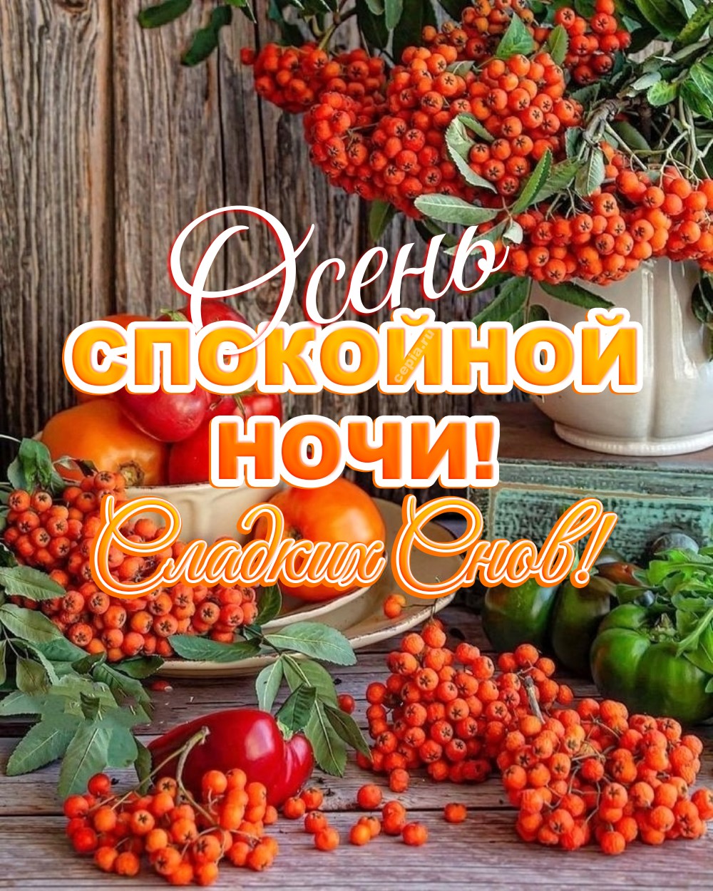 😊 Пусть осенняя ночь будет наполнена покоем и тихой радостью, унося все заботы и тревоги прочь