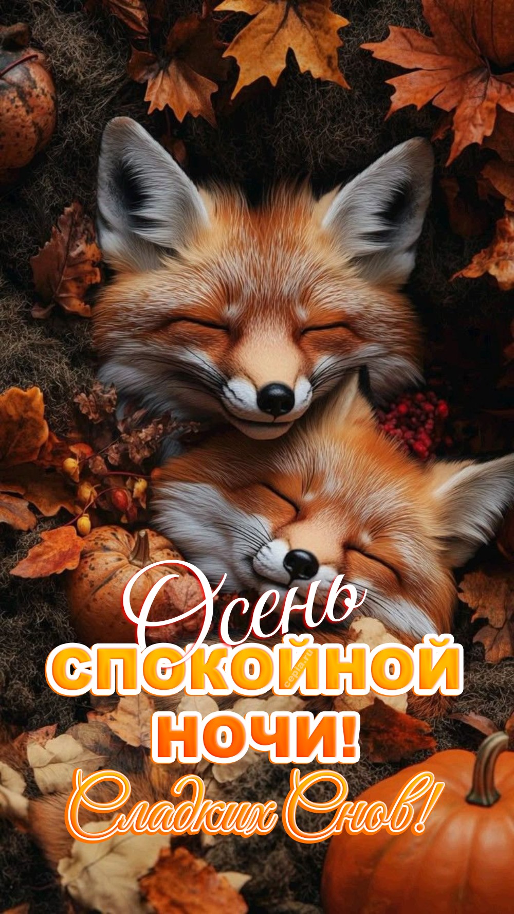 🎉 Желаю тебе тёплой и уютной ночи, где звёзды мерцают как золотые капли на темном небе, а осенний воздух напоён ароматом свежести и умиротворения