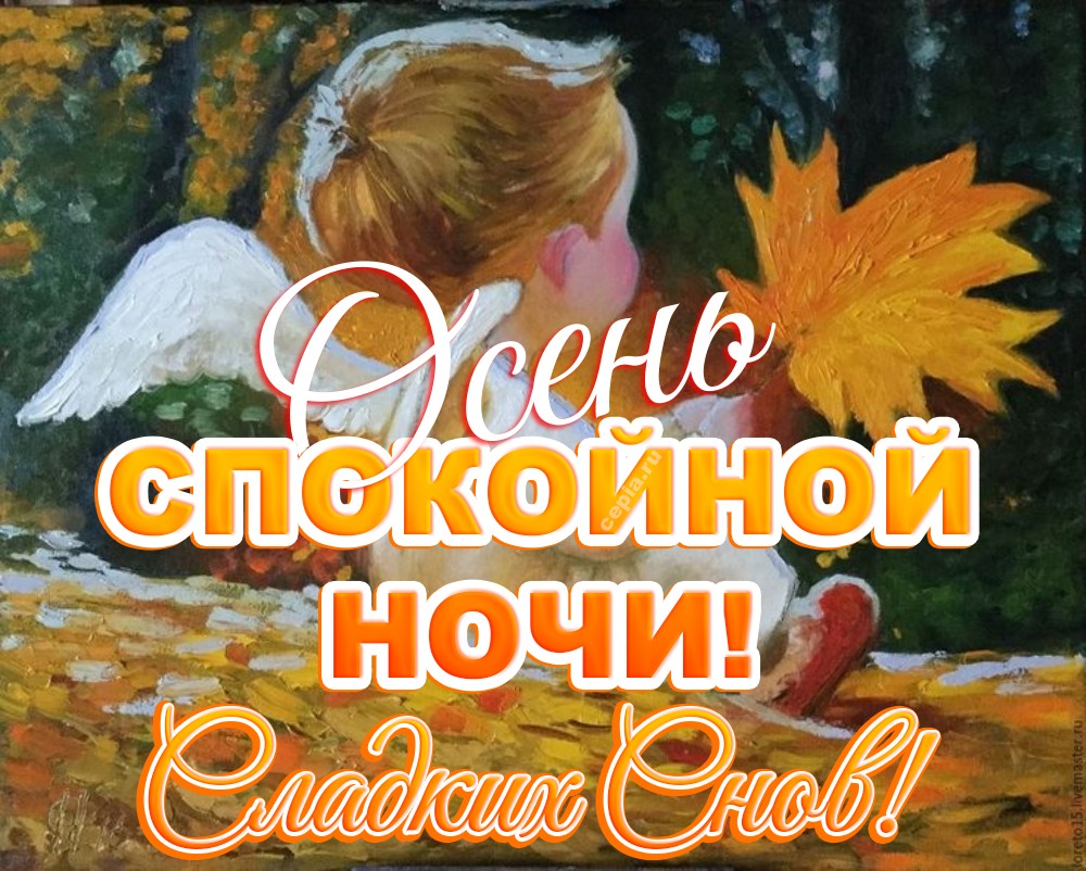 🤩 Желаю погрузиться в глубокий, спокойный сон, как осенний лес в тишину, чтобы утром проснуться обновлённым и полным сил