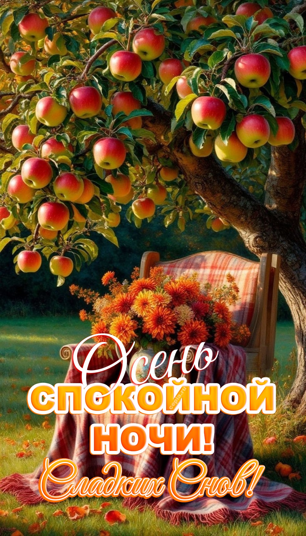 🤩 Доброй осенней ночи, пусть прохлада и свежесть наполняют тебя силой, а уют и тепло дома согревают душу