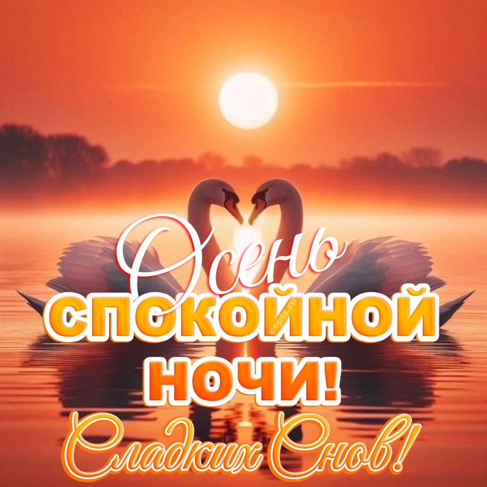 🎉 Доброй ночи, пусть звёзды расскажут тебе сказки, а осенний ветер ласково споёт колыбельную