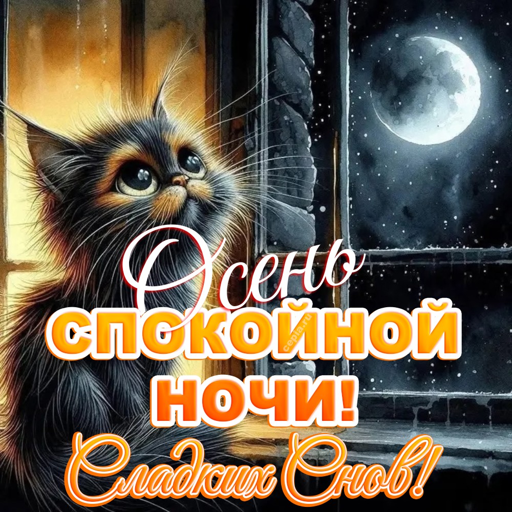 😍 Доброй осенней ночи, пусть каждый момент сна будет наполнен счастьем и спокойствием, словно тихий лес под луной