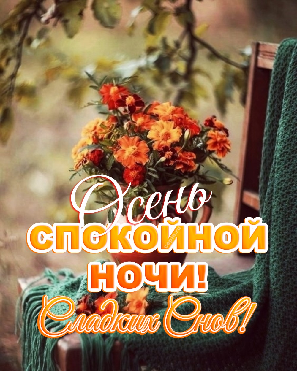 😀 Доброй ночи, пусть твои мысли будут лёгкими, а сны — красочными и вдохновляющими