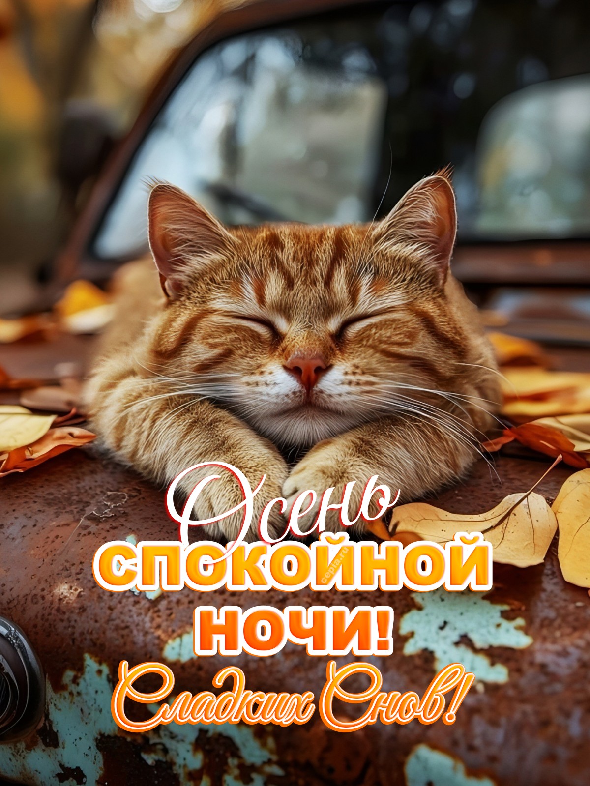 😀 Пусть эта осенняя ночь окутывает тебя мягким пледом из золотистых листьев, убаюкивает шёпотом ветра и наполняет сердце теплом и покоем