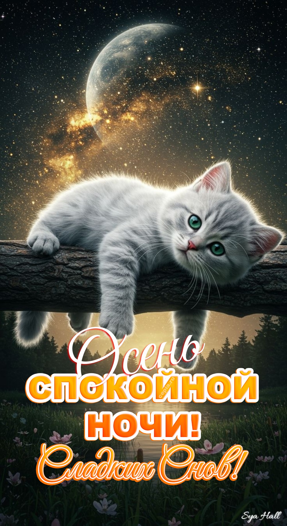 🎉 Желаю крепкого и спокойного сна, под звуки осеннего леса и тихое пение ночных птиц