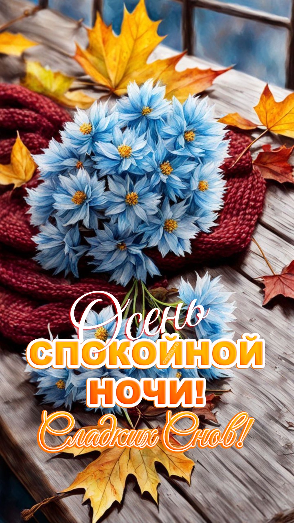 🤩 Желаю тебе покоя и тепла, словно уютное гнёздышко среди золотых листьев осеннего леса