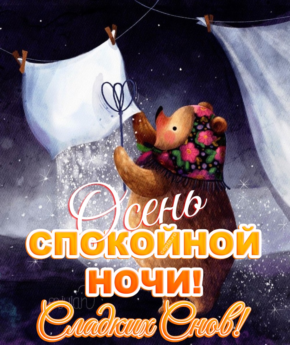 🤩 Доброй ночи, пусть прохладный воздух наполняет лёгкие свежестью, а сердце — радостью