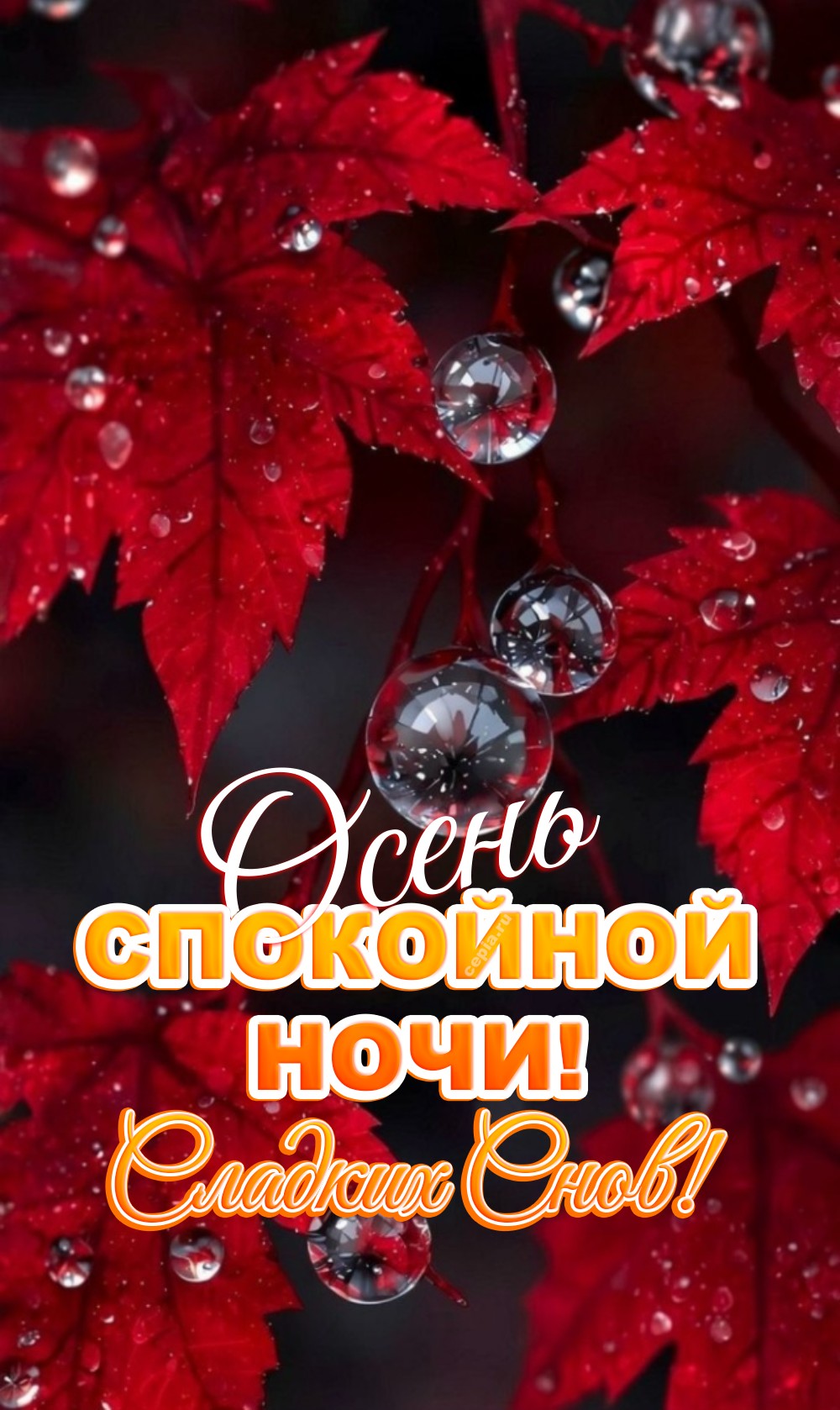 🎉