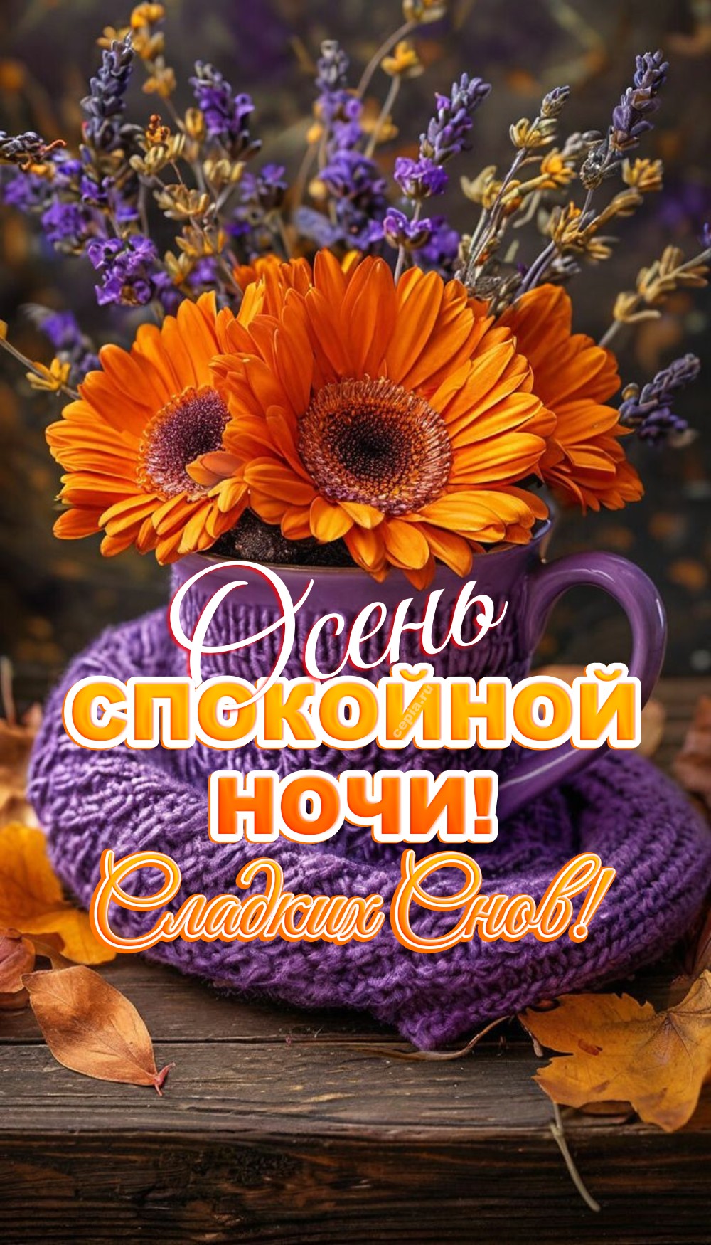 😍 Доброй осенней ночи, пусть сны будут яркими, как багряные листья на ветру