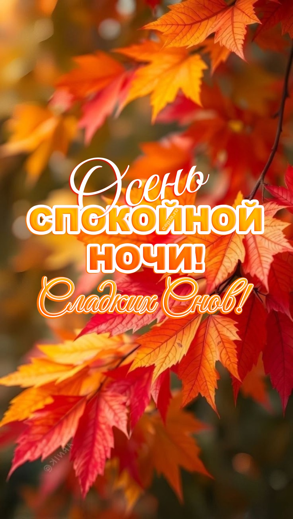 😍 Доброй ночи, пусть каждый миг покоя будет наполнен светом и теплом осеннего вечера