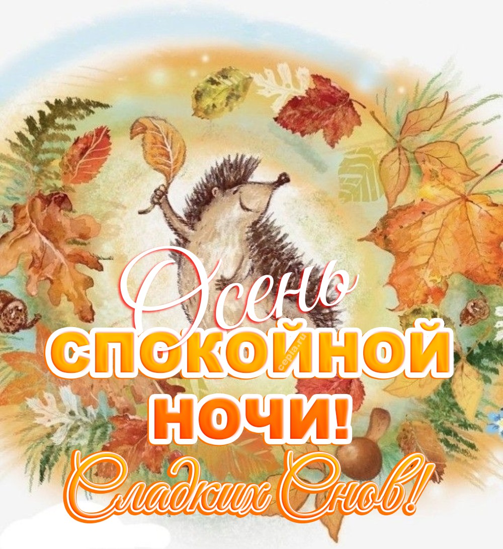 😍 Желаю сладких снов, наполненных цветами и красками осеннего леса