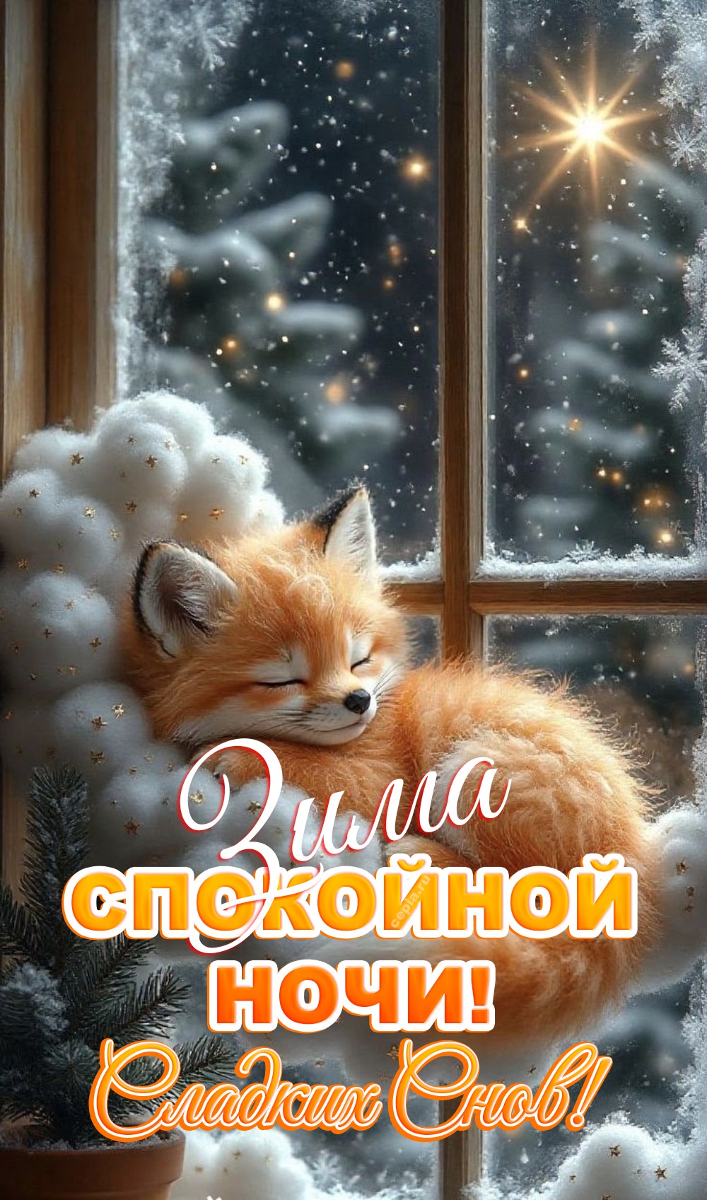 🎉