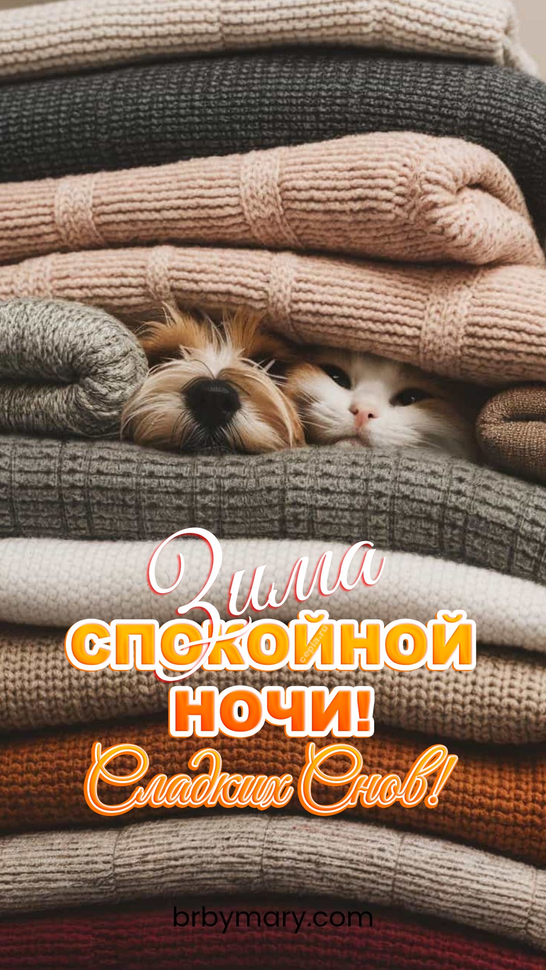 😊