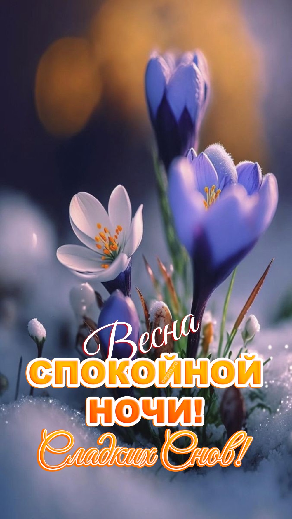 😊 Спокойной весенней ночи! Пусть даже в темноте твое сердце будет согрето верой в лучшее и теплом любимых людей