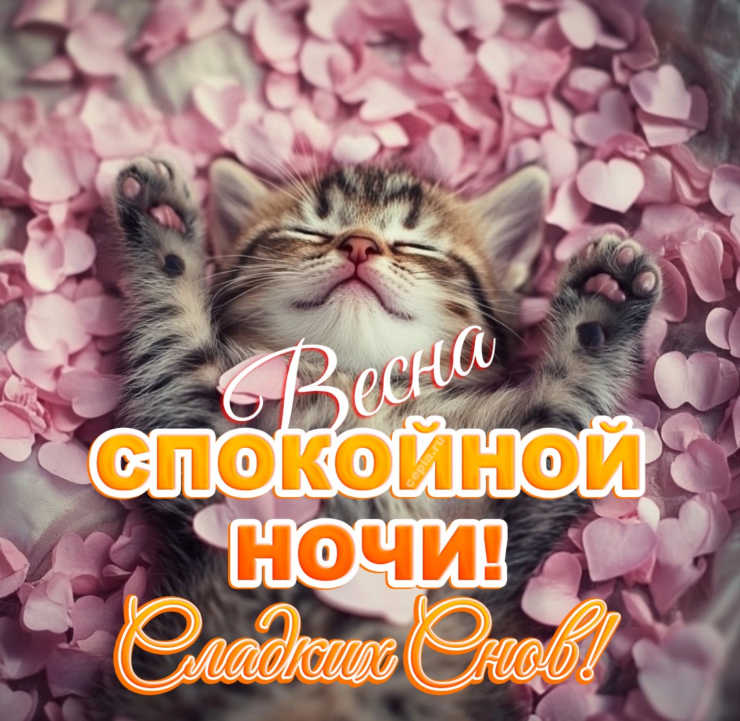 🤩 Пусть эта весенняя ночь обнимет тебя тихим уютом и подарит самые красивые сны, полные вдохновения и счастья