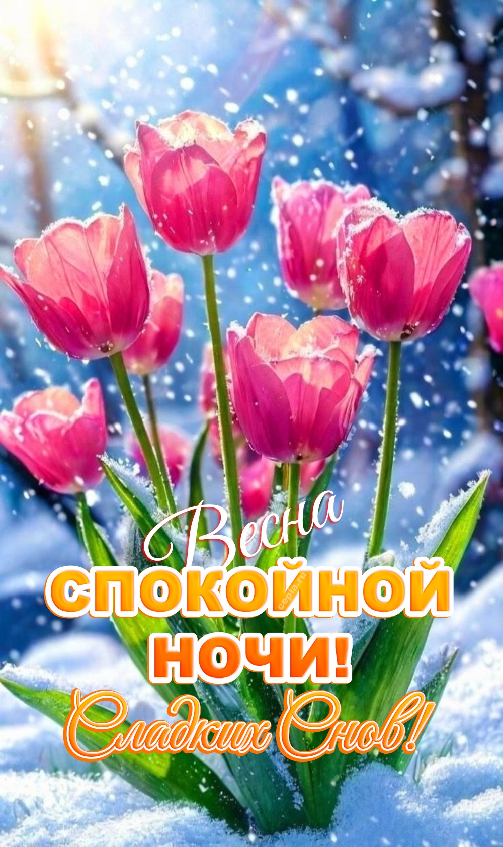 🤩 Пусть каждая весенняя ночь будет для тебя тихой пристанью, где ты сможешь набраться сил и спокойствия