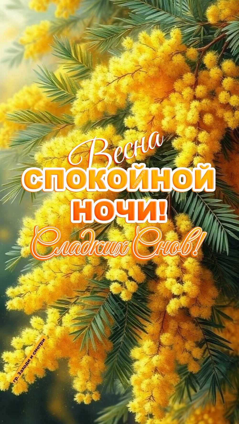 😀 Пусть весенний ветерок за окном поет тебе нежную колыбельную, принося сладкие грёзы и мягкий, глубокий сон