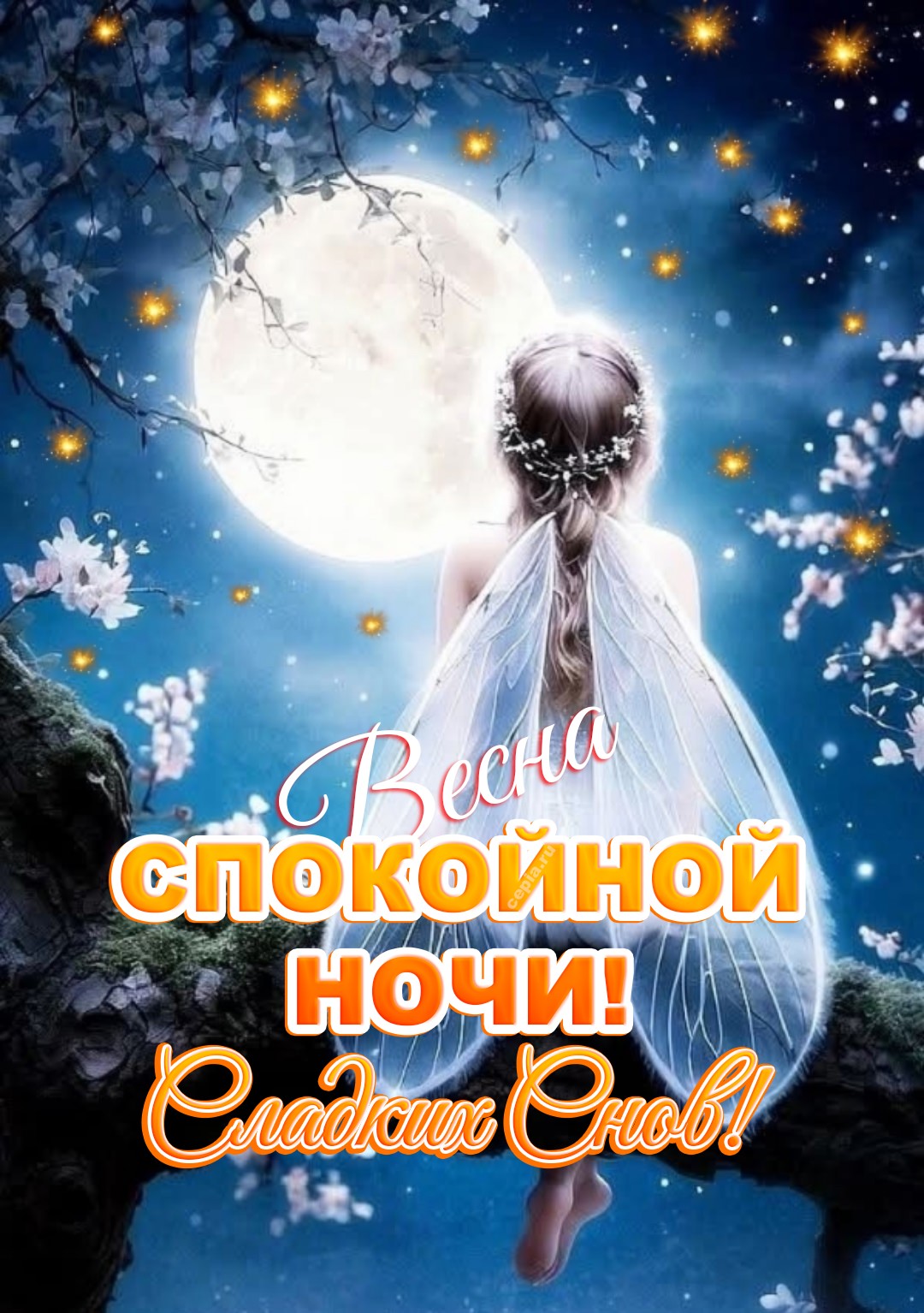 🤩 Пусть эта весенняя ночь будет ласковой и теплой, словно легкий шелковый плед, укроет тебя заботой и покоем до самого утра