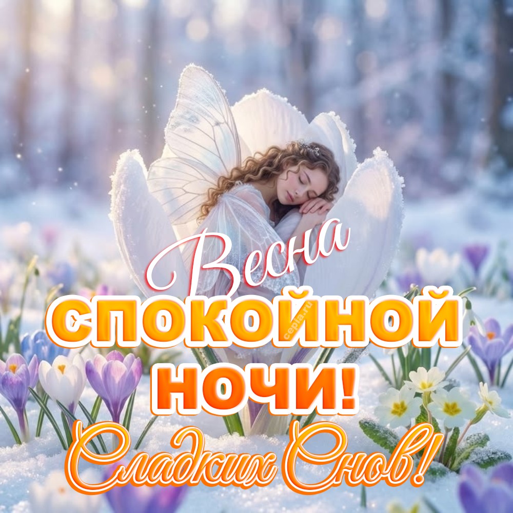 🎉 Спи спокойно этой чудесной весенней ночью, пусть твое сердце отдохнет от забот и наполнится новыми силами для завтрашних свершений
