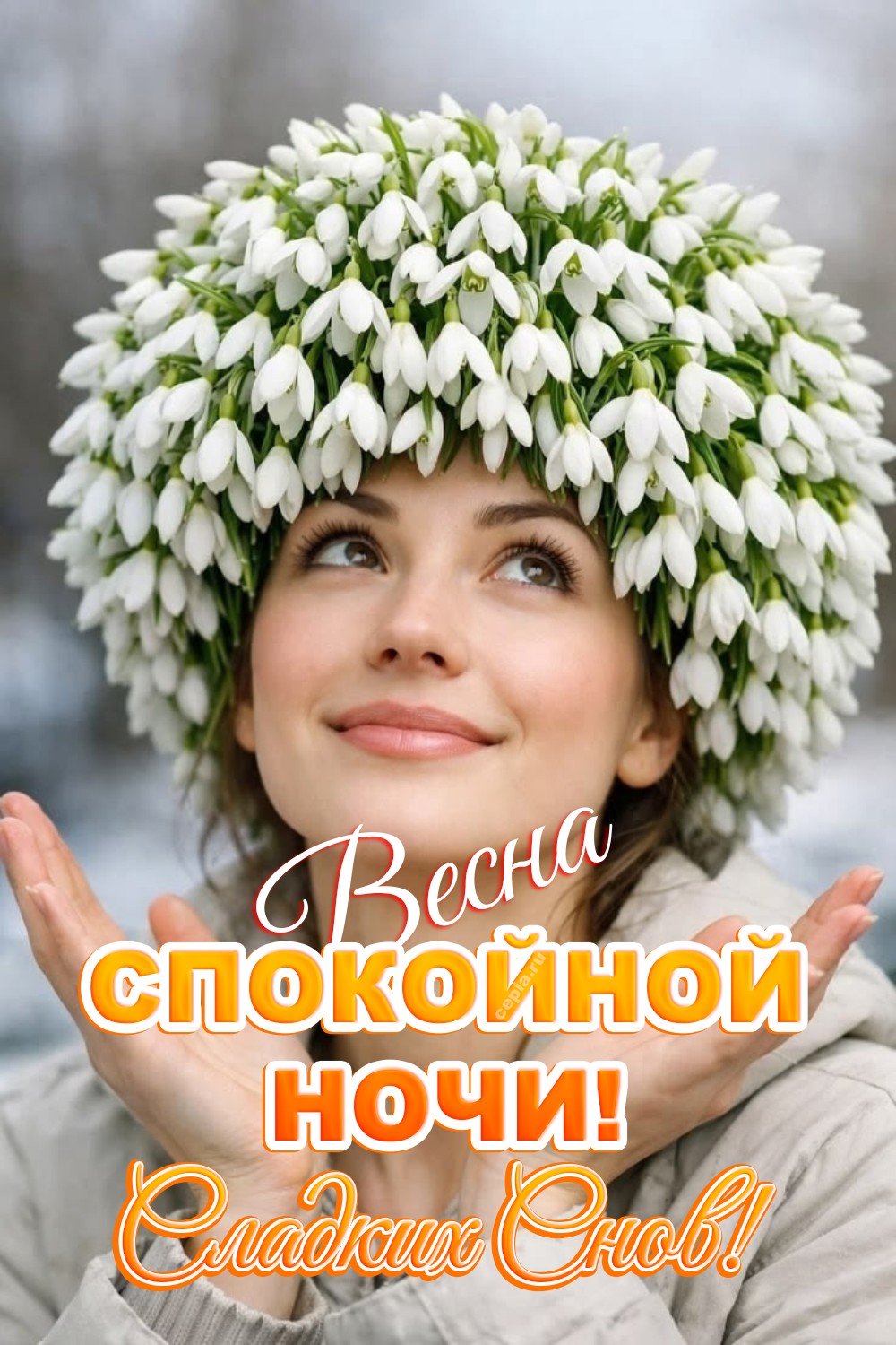 🎉