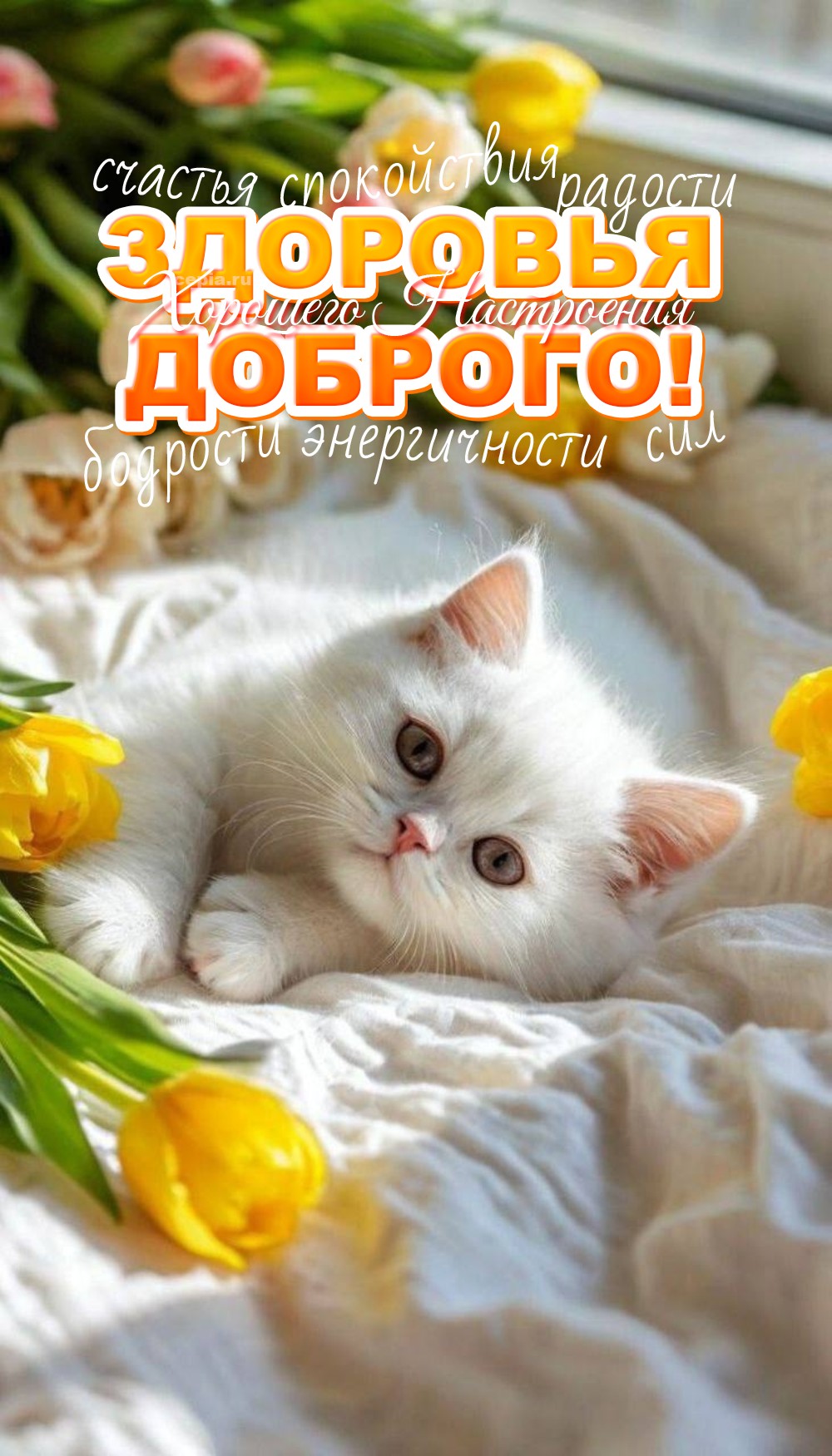 🎉