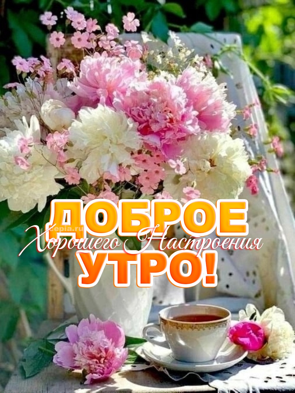 😍 Желаю утреннего счастья с чашкой ароматного чая – пусть каждый глоток дарит спокойствие и нежность, а день будет лёгким и радостным