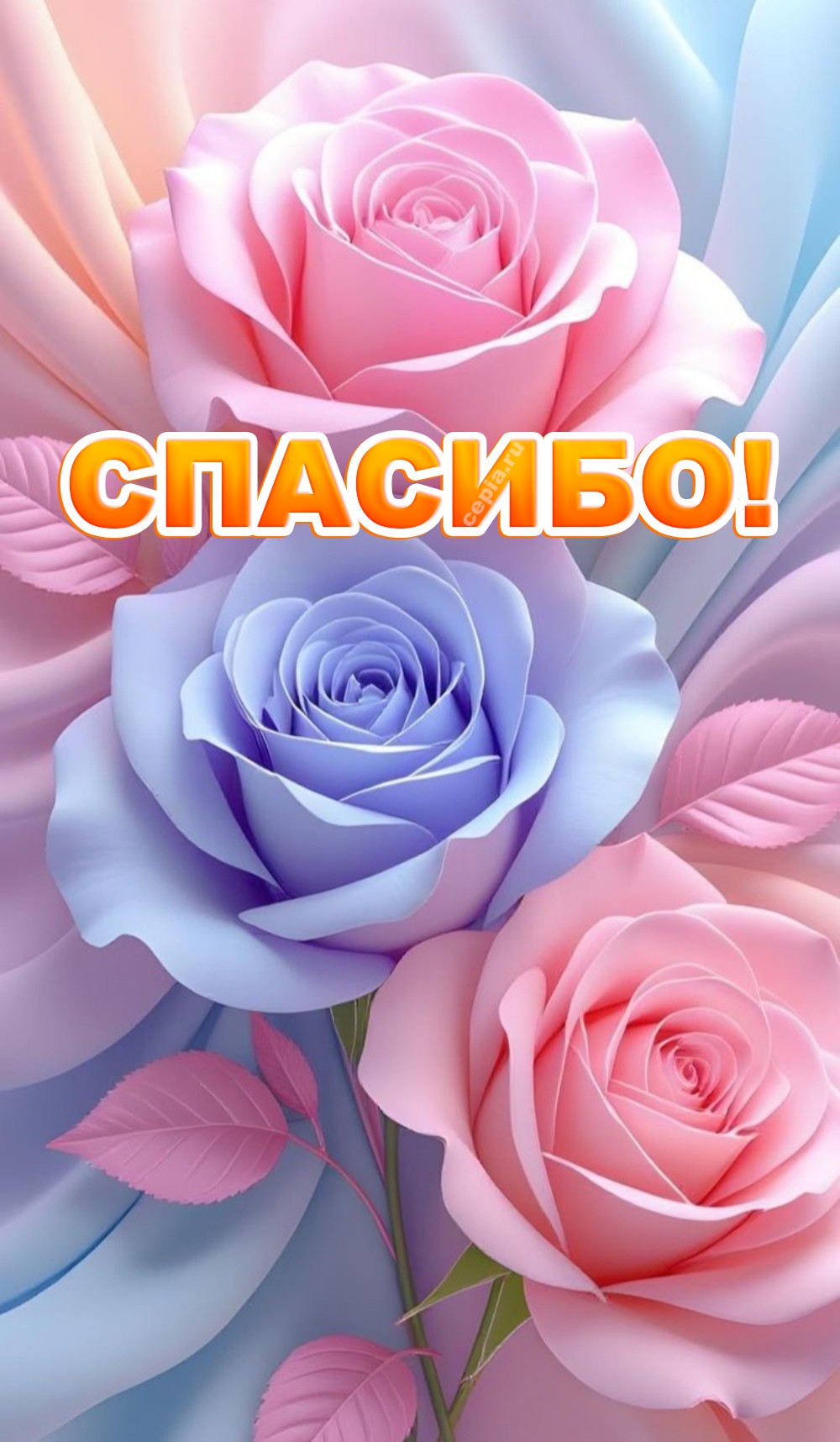 🎉