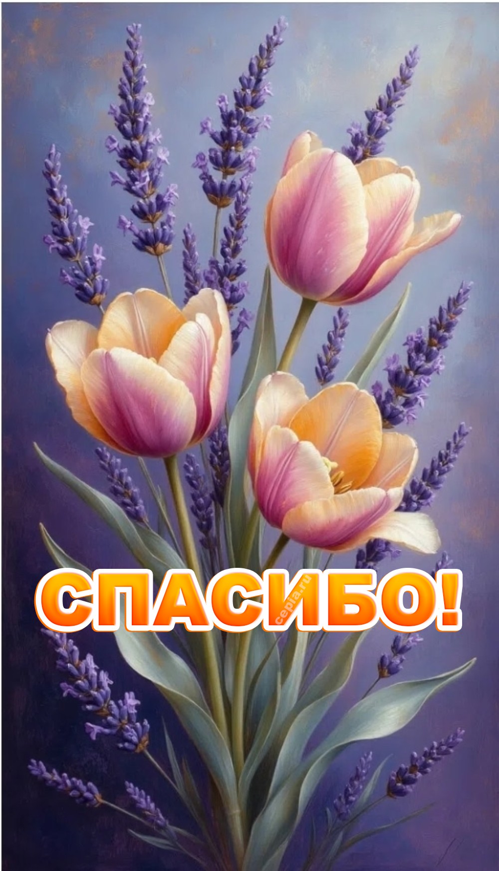 🎉
