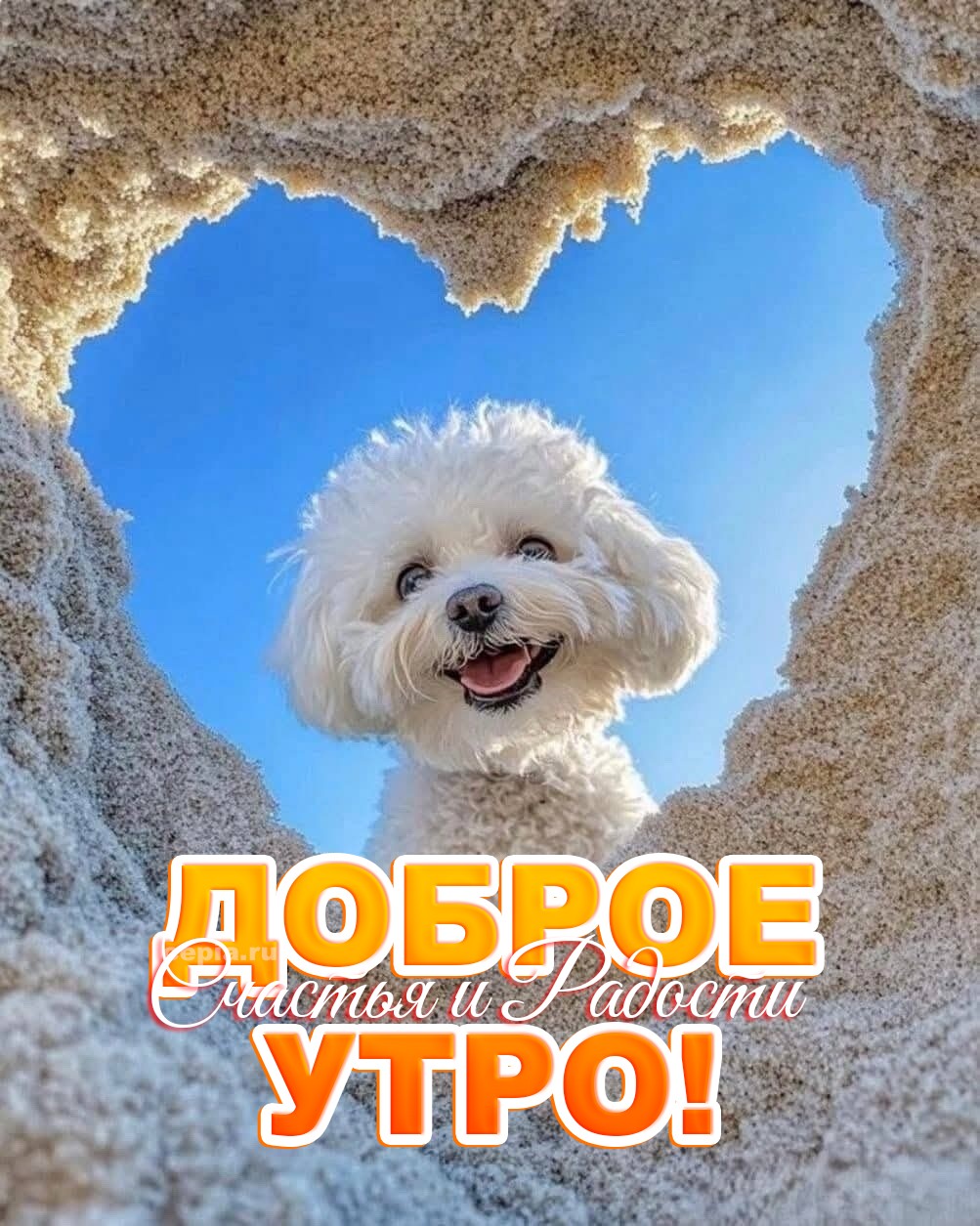🎉