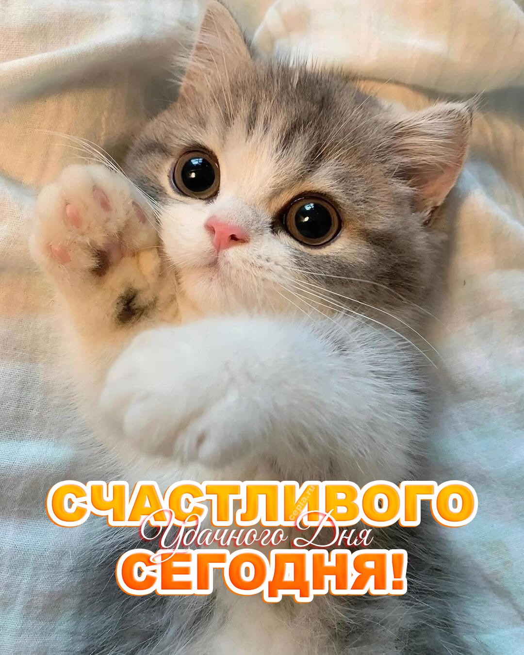 😍
