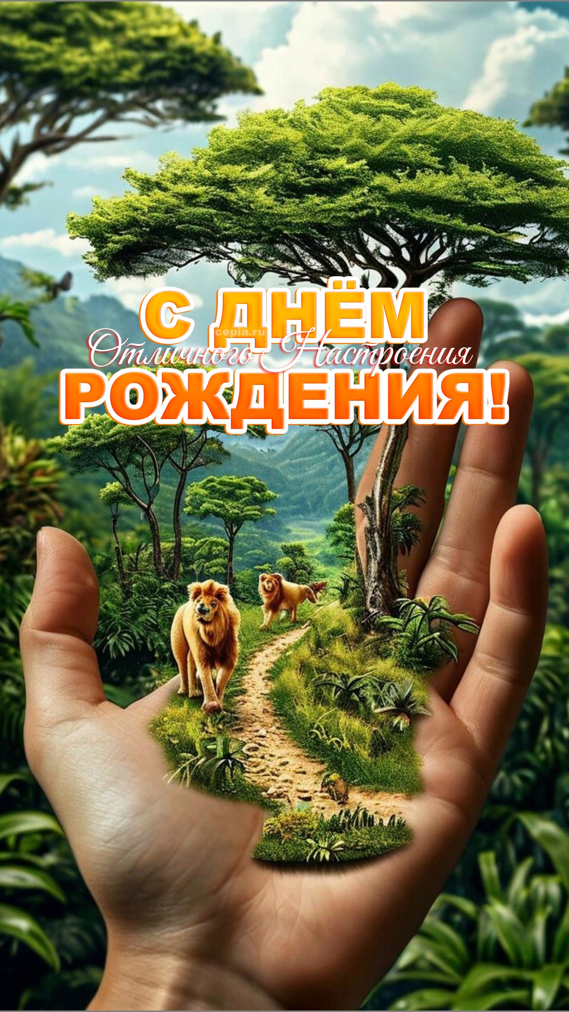 😍 С Днем Рождения! Пусть жизнь будет такой же яркой, как твоя фантазия после трёх тостов