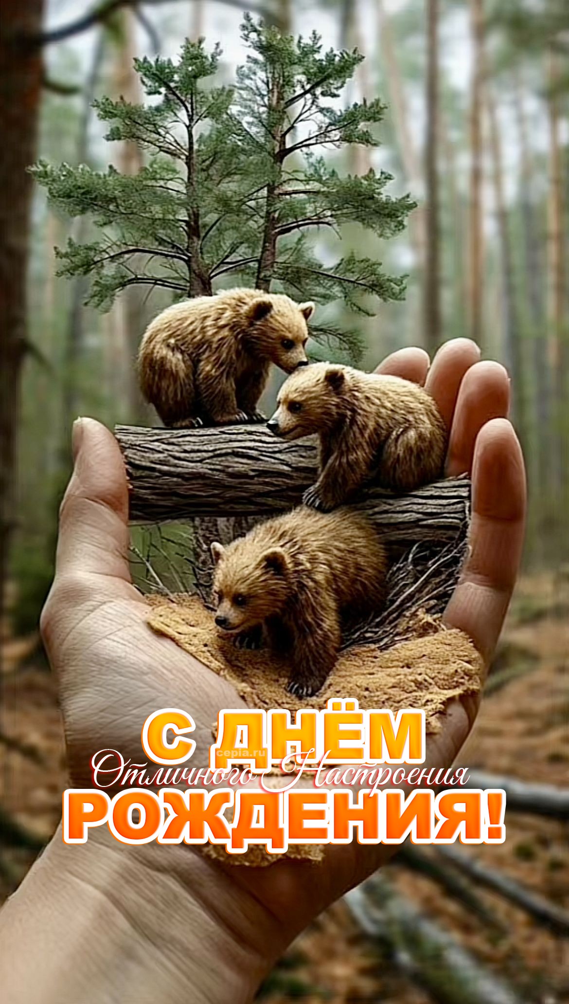 😍 Желаю, чтобы тебя любили так же сильно, как ты любишь поспать