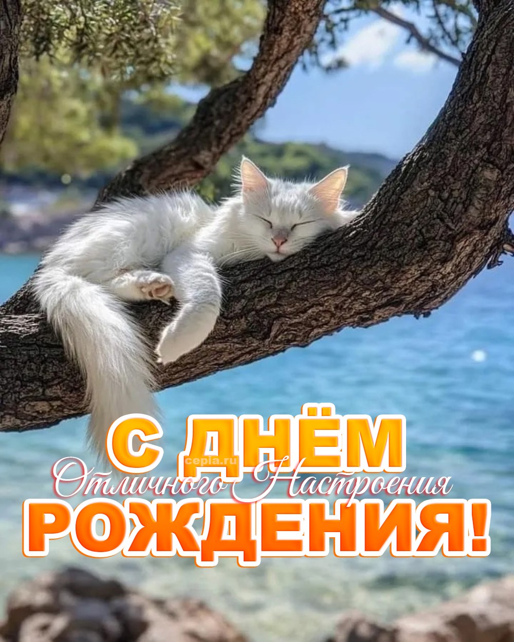 🎉 Пусть твой мозг отдыхает чаще, чем у тебя получается ничего не делать