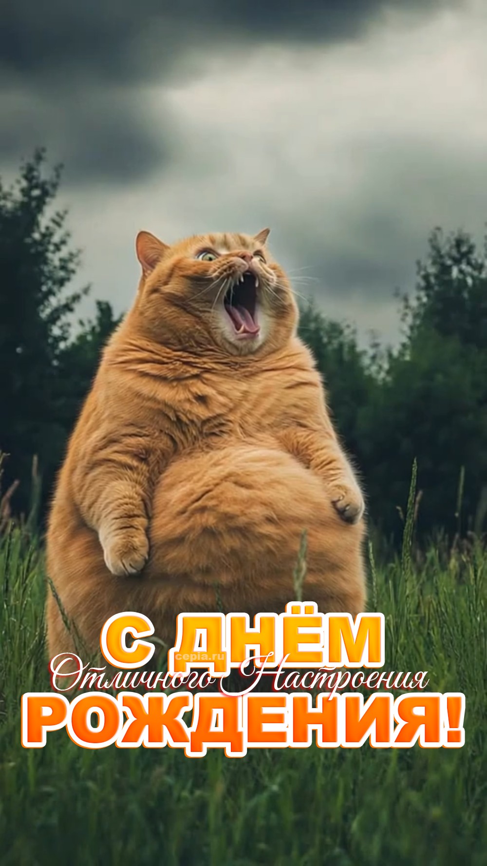 😍 Пусть проблем у тебя будет меньше, чем носков после стирки! Пусть твой день будет ярче, чем лампочка, которую ты пытаешься заменить уже год