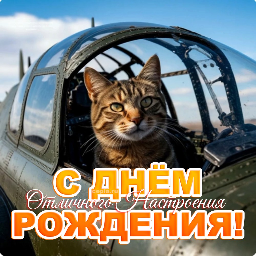 🎉 Желаю, чтобы твои приключения были безопасными, но незабываемыми
