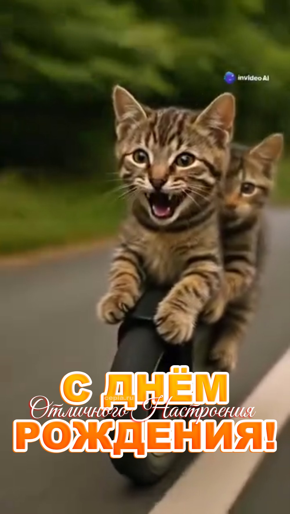 🤩 Пусть счастье будет огромным, как очередь в IKEA на выходных