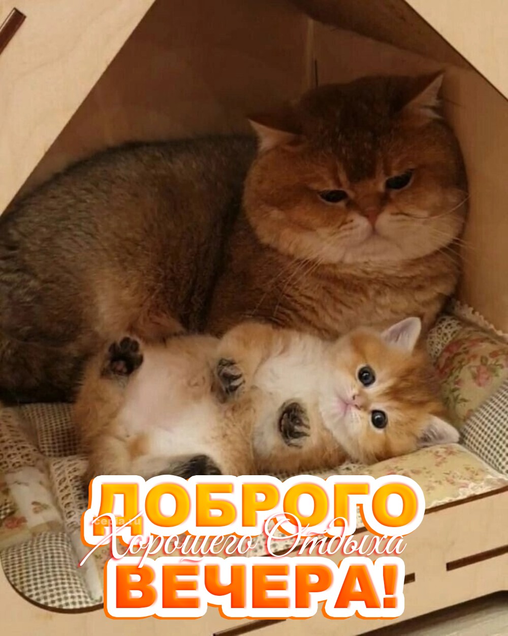 😊