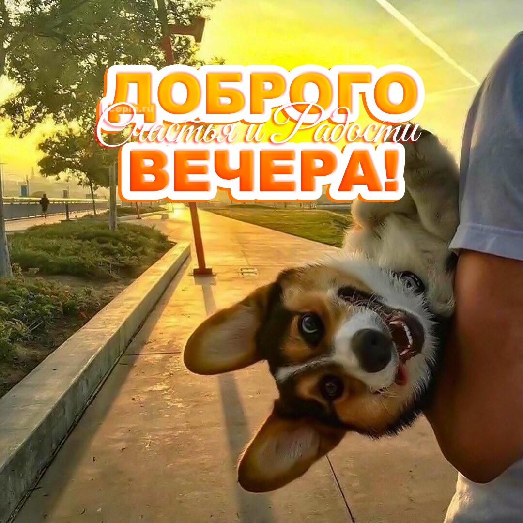 😊
