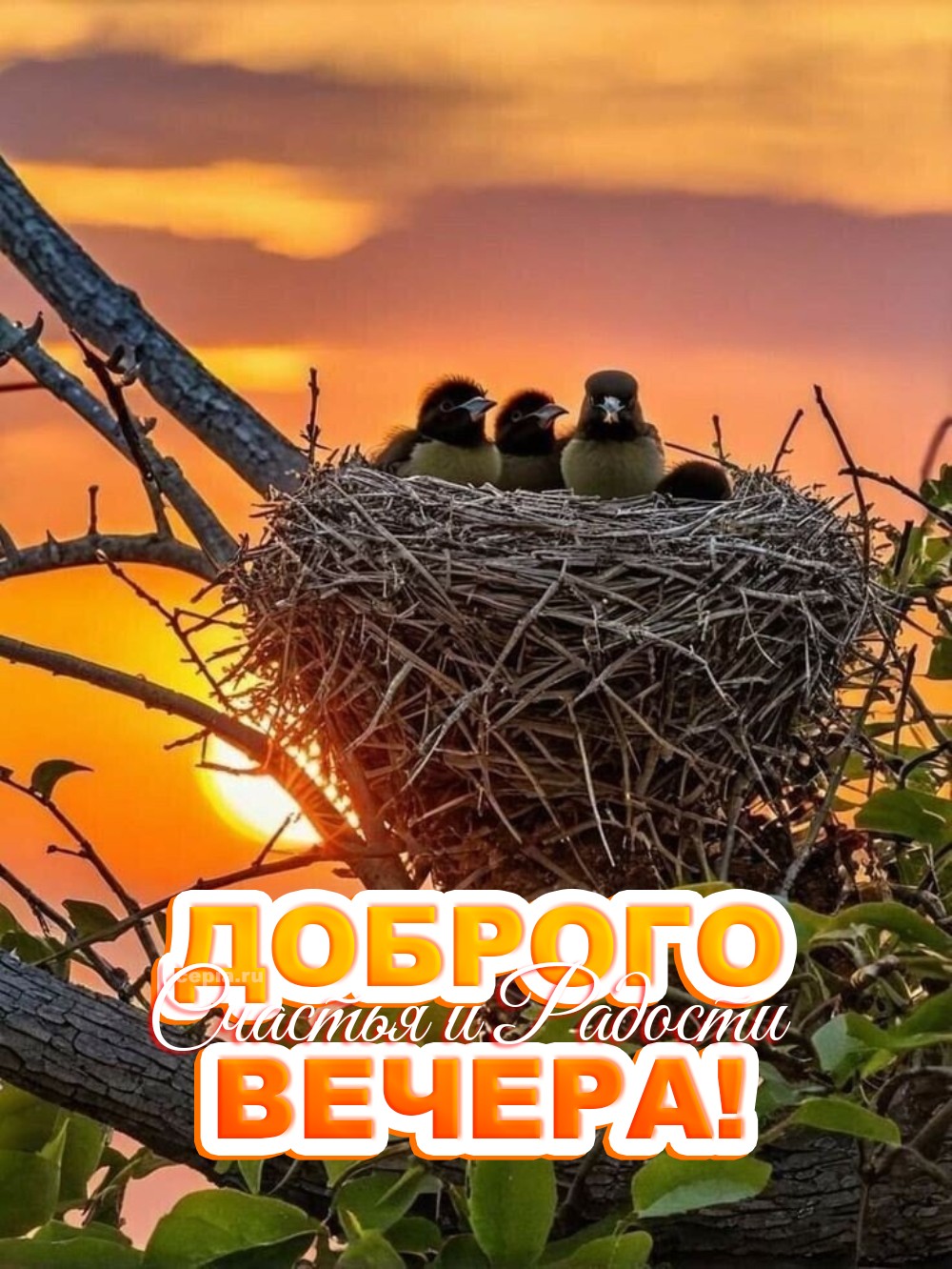 😊