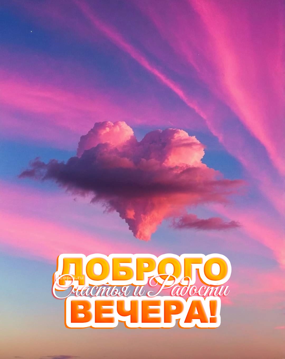🎉