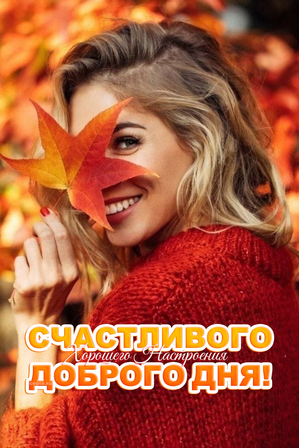 🎉