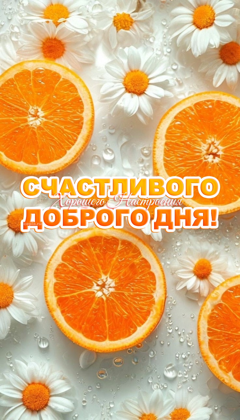🎉