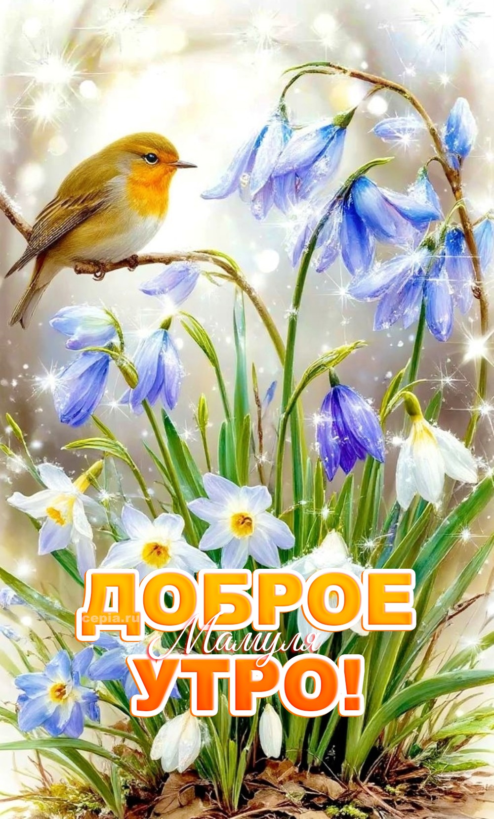 😊 Мама, доброе утро! Я желаю тебе увидеть сегодня что-то невероятно красивое: как паутинка сверкает на солнце, как кошка потягивается на заборе, как ребёнок смеётся — пусть это зарядит тебя позитивом на неделю вперёд