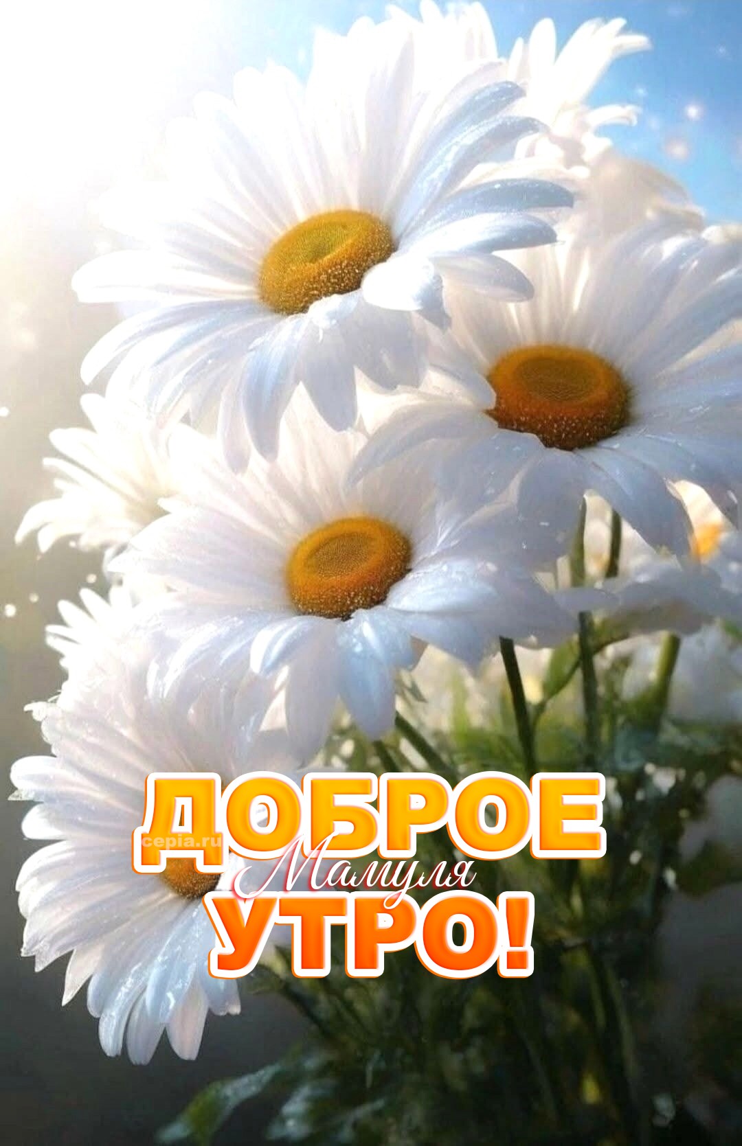 🤩 Мама, с наступившим новым днём! Пусть он будет медленным, как тягучий мёд, сладким и тянущимся, чтобы ты успела насладиться каждой минутой, каждым вздохом и каждой мелочью, которая тебя окружает