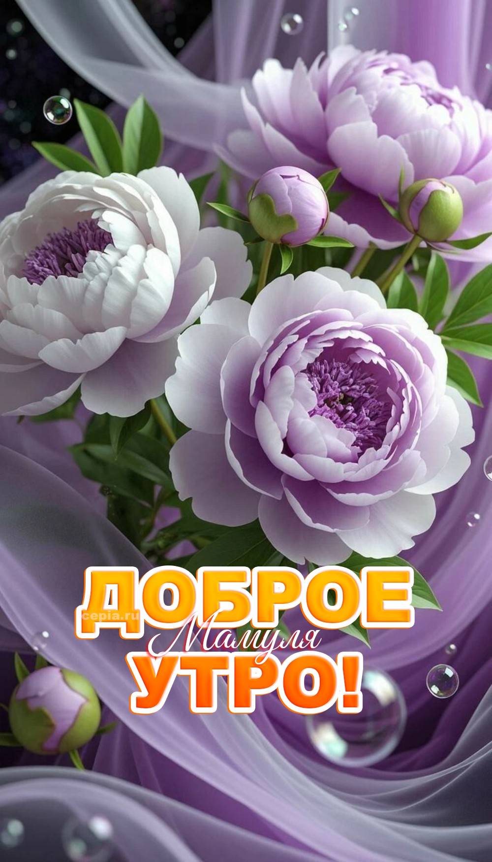 😀 Проснись, моя родная! Пусть сегодняшний день подарит тебе повод для гордости за себя