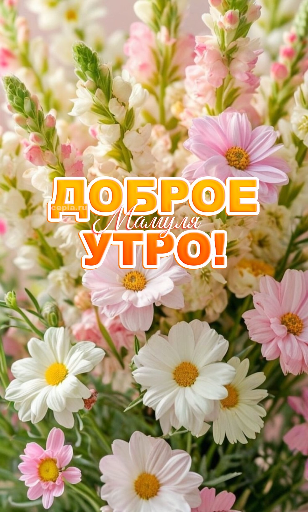 🎉 Мамуля, доброе утро! Я хочу пожелать тебе, чтобы сегодня ты почувствовала себя легендарной актрисой, у которой всё получается, всё к лицу, и за которой весь мир наблюдает с восхищением